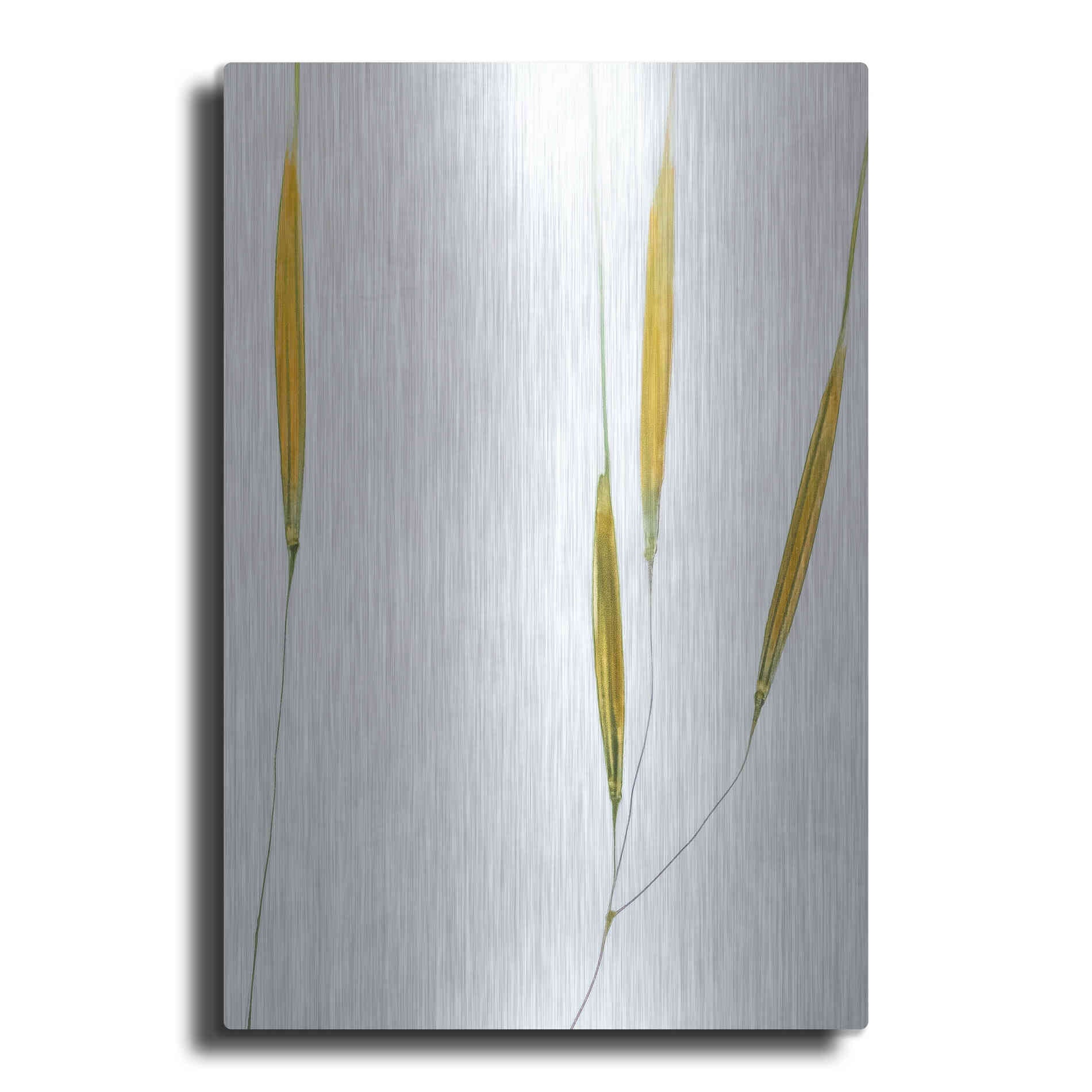 Luxe Metal Art  'Delicate Grasses'  by Don Schwartz, Metal Wall Art