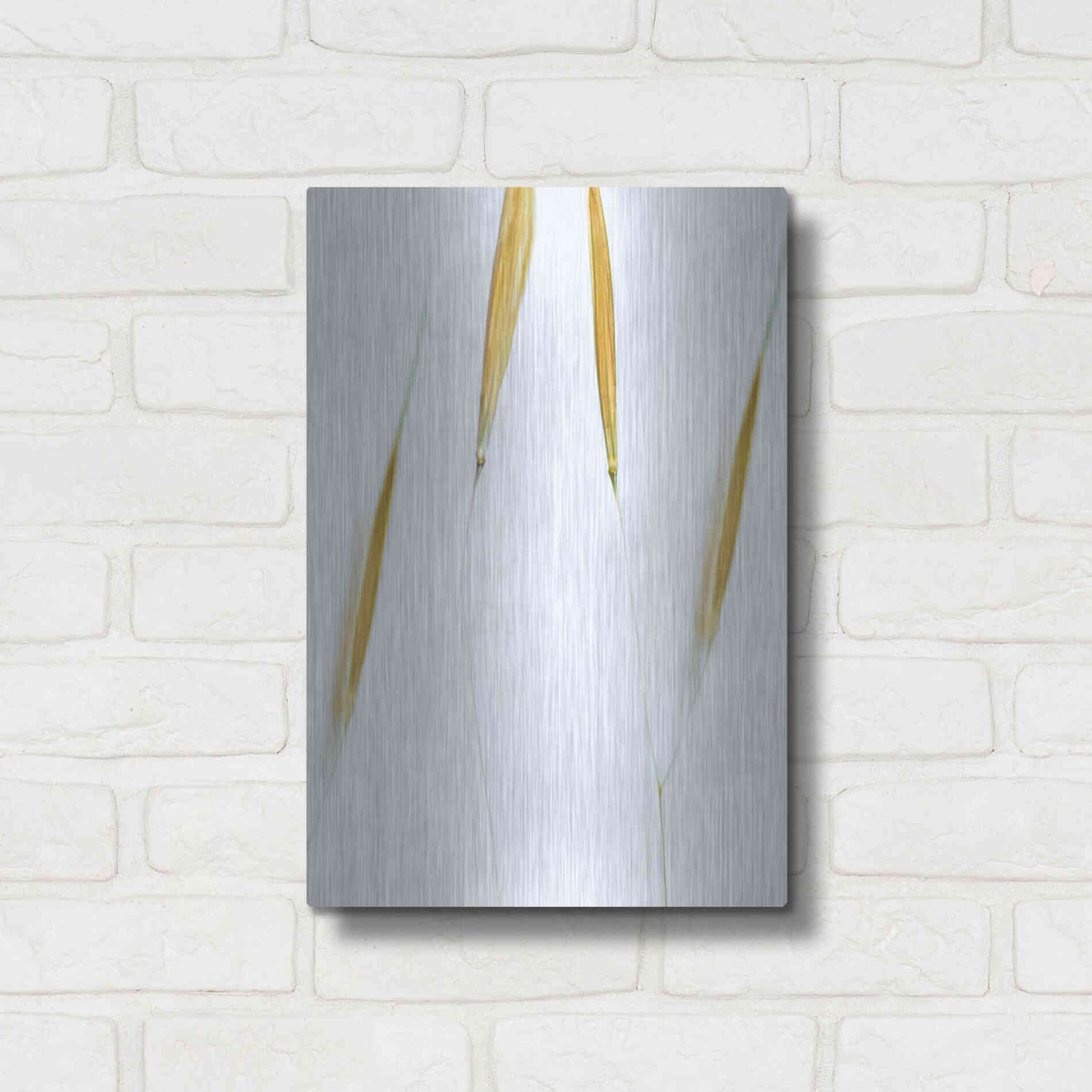 Luxe Metal Art  'So Delicate'  by Don Schwartz, Metal Wall Art,12x16