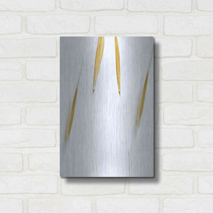 Luxe Metal Art  'So Delicate'  by Don Schwartz, Metal Wall Art,12x16