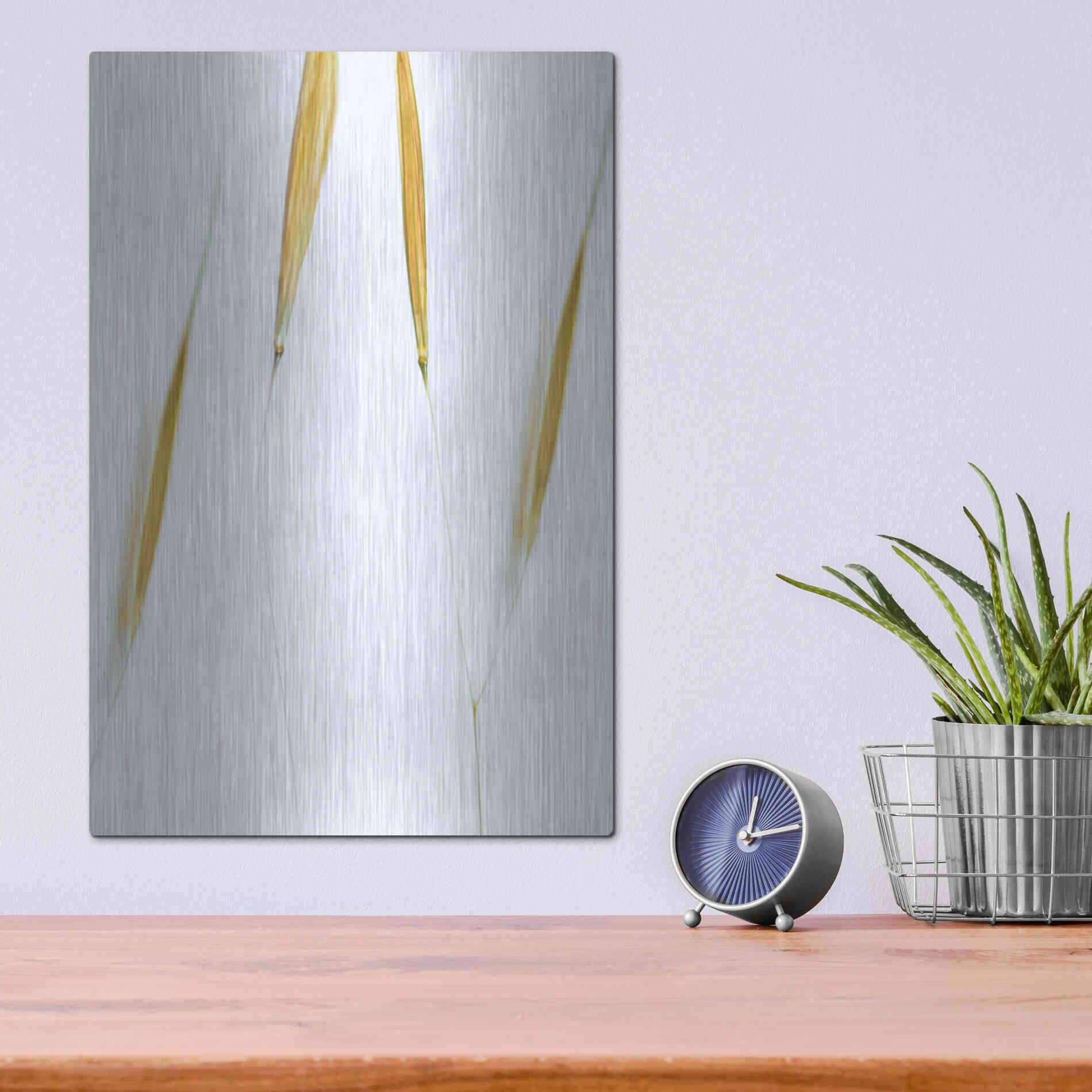 Luxe Metal Art  'So Delicate'  by Don Schwartz, Metal Wall Art,12x16