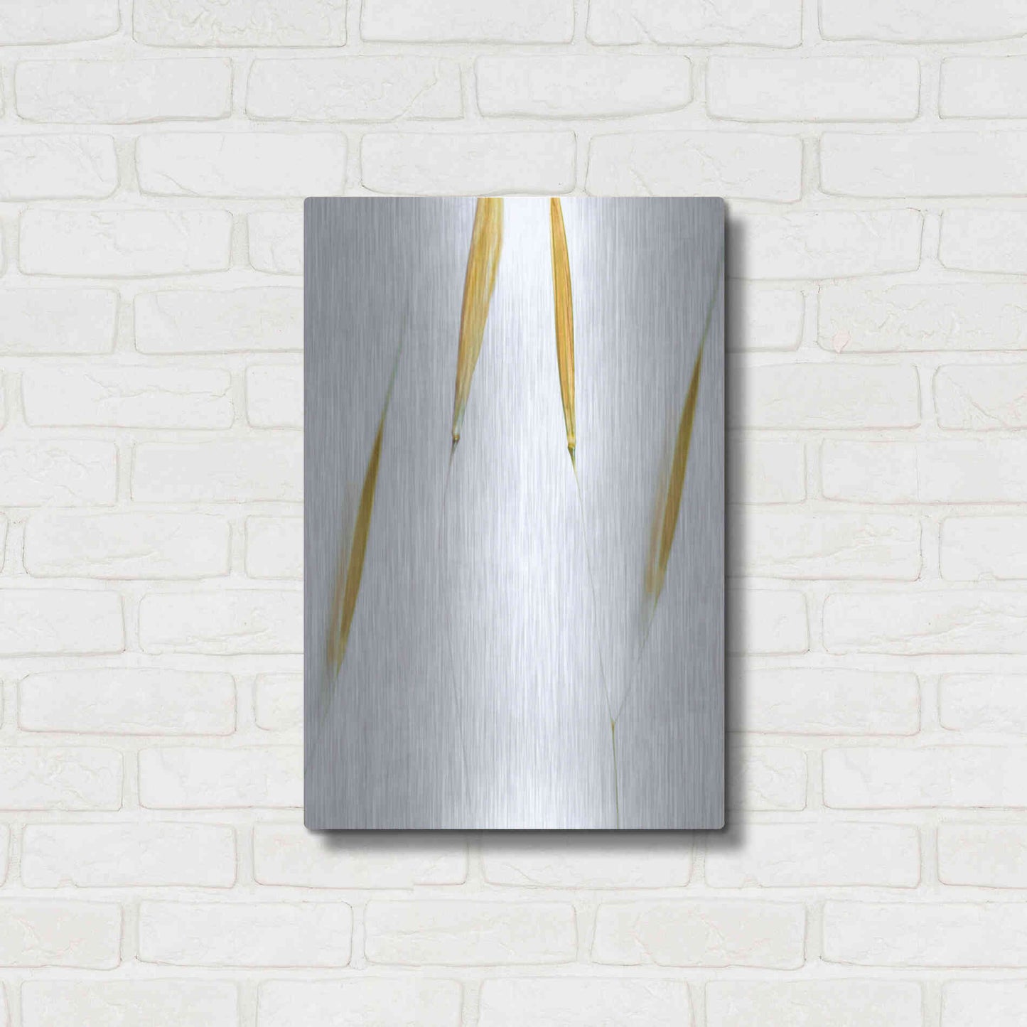 Luxe Metal Art  'So Delicate'  by Don Schwartz, Metal Wall Art,16x24