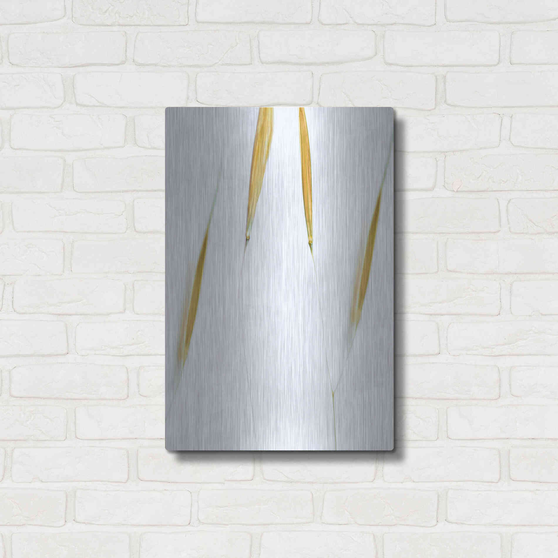 Luxe Metal Art  'So Delicate'  by Don Schwartz, Metal Wall Art,16x24