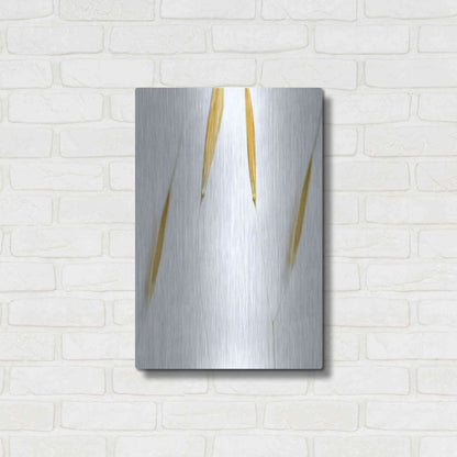 Luxe Metal Art  'So Delicate'  by Don Schwartz, Metal Wall Art,16x24