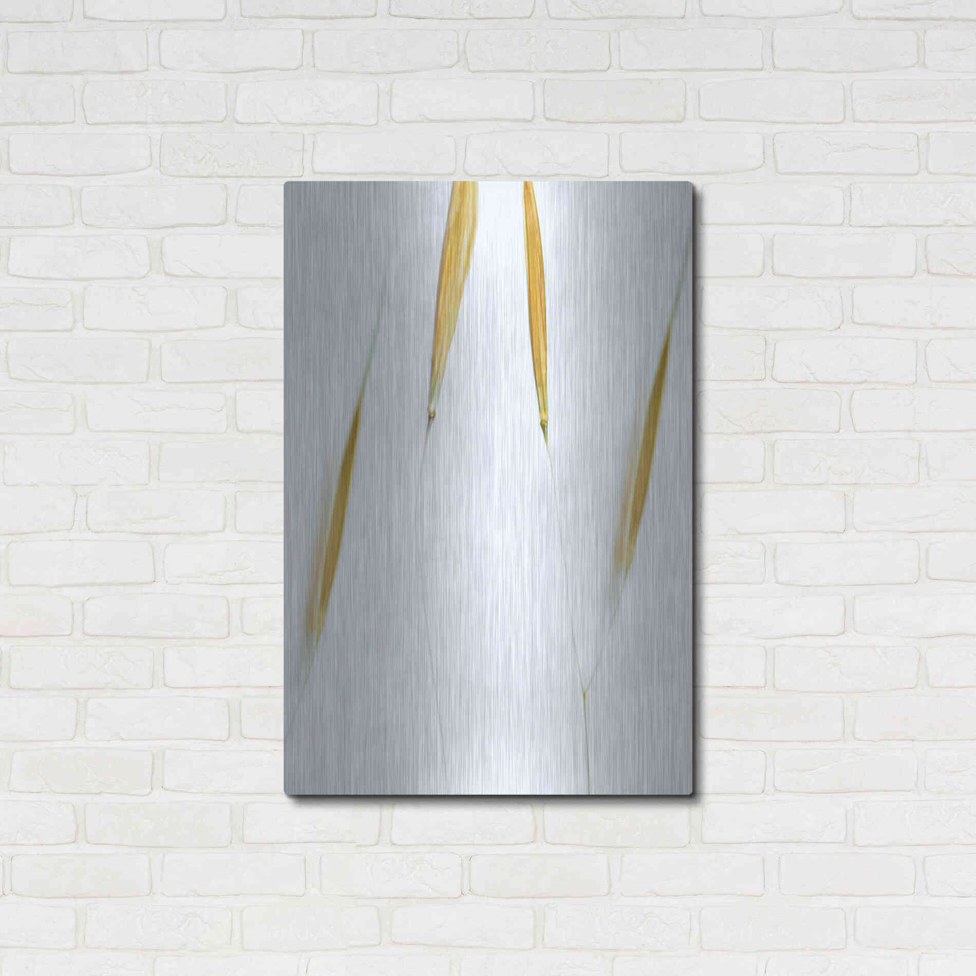 Luxe Metal Art  'So Delicate'  by Don Schwartz, Metal Wall Art,24x36