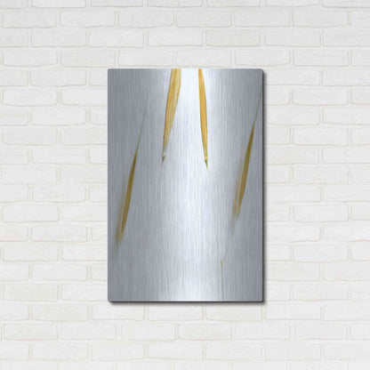 Luxe Metal Art  'So Delicate'  by Don Schwartz, Metal Wall Art,24x36
