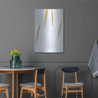 Luxe Metal Art  'So Delicate'  by Don Schwartz, Metal Wall Art,24x36