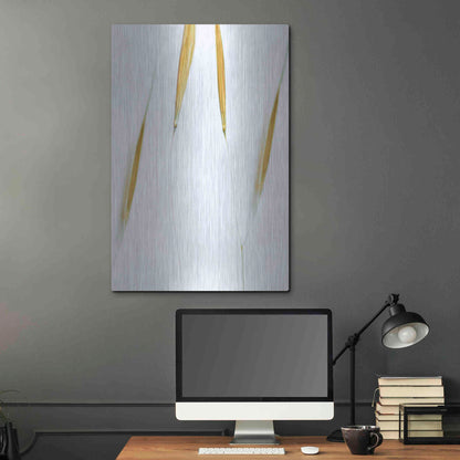 Luxe Metal Art  'So Delicate'  by Don Schwartz, Metal Wall Art,24x36