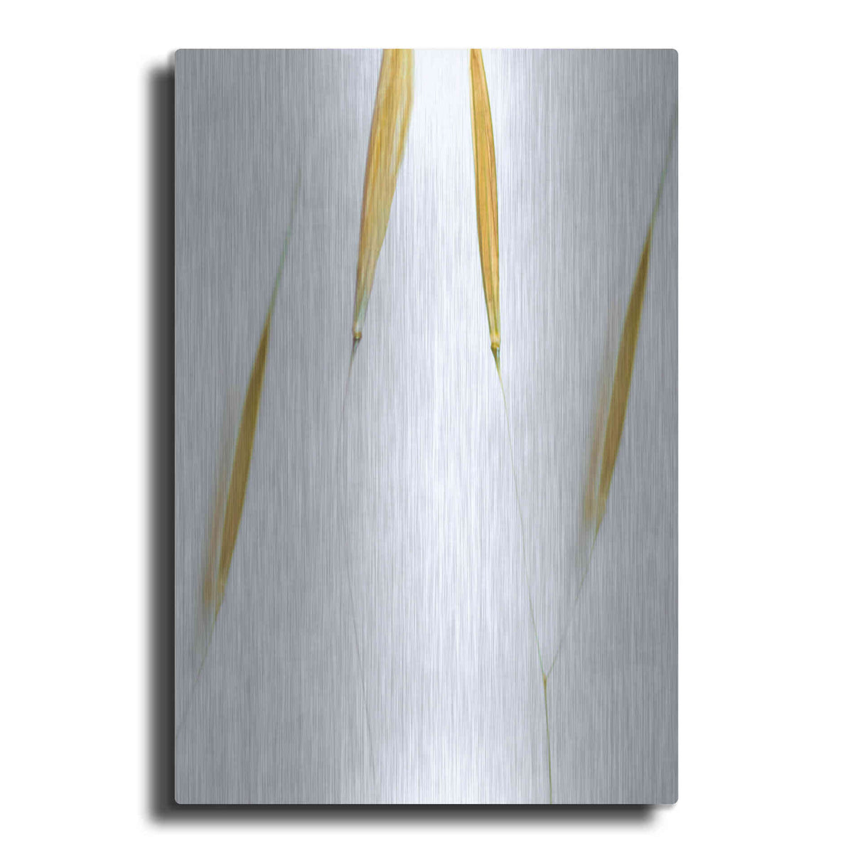 Luxe Metal Art  'So Delicate'  by Don Schwartz, Metal Wall Art