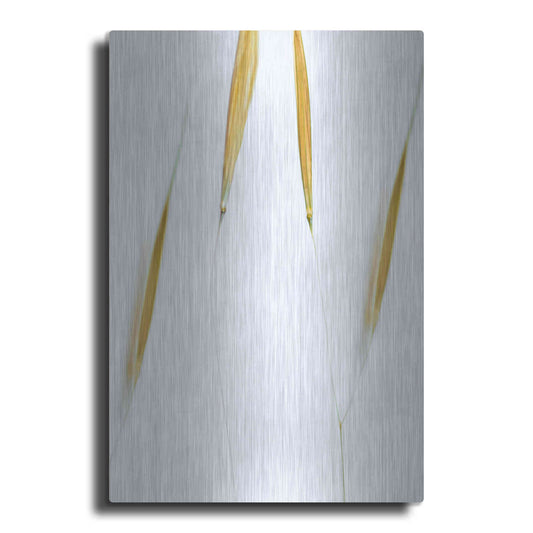 Luxe Metal Art  'So Delicate'  by Don Schwartz, Metal Wall Art