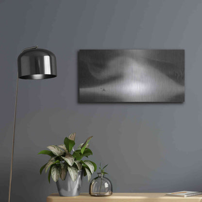 Luxe Metal Art  'Into The Swirl Ii'  by Don Schwartz, Metal Wall Art,24x12