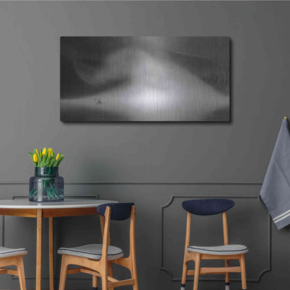 Luxe Metal Art  'Into The Swirl Ii'  by Don Schwartz, Metal Wall Art,48x24