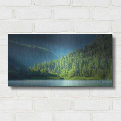 Luxe Metal Art  'Serene Paddle'  by Don Schwartz, Metal Wall Art,24x12