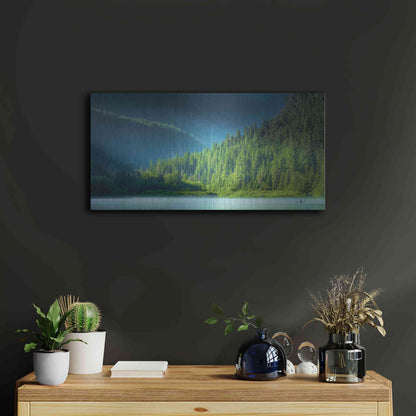 Luxe Metal Art  'Serene Paddle'  by Don Schwartz, Metal Wall Art,24x12