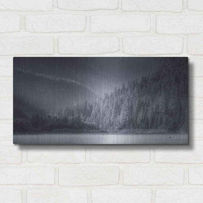 Luxe Metal Art  'Serene Paddle Ii'  by Don Schwartz, Metal Wall Art,24x12