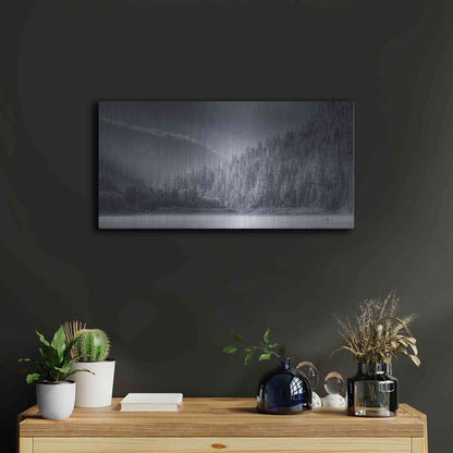 Luxe Metal Art  'Serene Paddle Ii'  by Don Schwartz, Metal Wall Art,24x12
