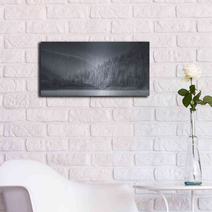 Luxe Metal Art  'Serene Paddle Ii'  by Don Schwartz, Metal Wall Art,24x12