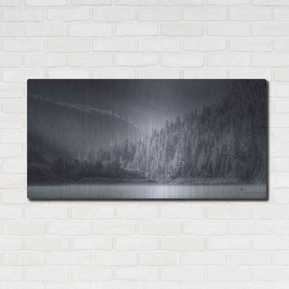 Luxe Metal Art  'Serene Paddle Ii'  by Don Schwartz, Metal Wall Art,48x24