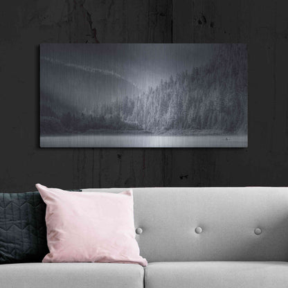 Luxe Metal Art  'Serene Paddle Ii'  by Don Schwartz, Metal Wall Art,48x24