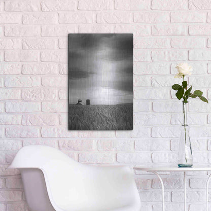 Luxe Metal Art  'Across The Wheat Field Ii'  by Don Schwartz, Metal Wall Art,16x24