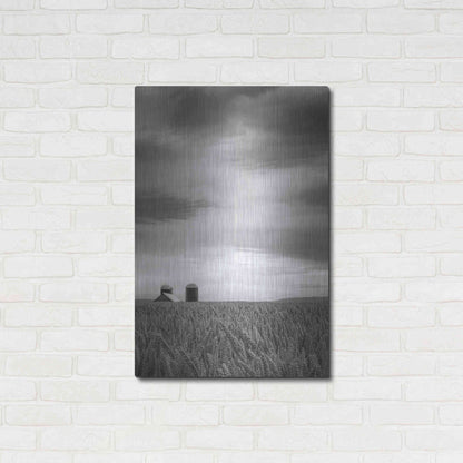 Luxe Metal Art  'Across The Wheat Field Ii'  by Don Schwartz, Metal Wall Art,24x36