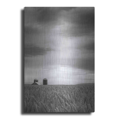 Luxe Metal Art  'Across The Wheat Field Ii'  by Don Schwartz, Metal Wall Art