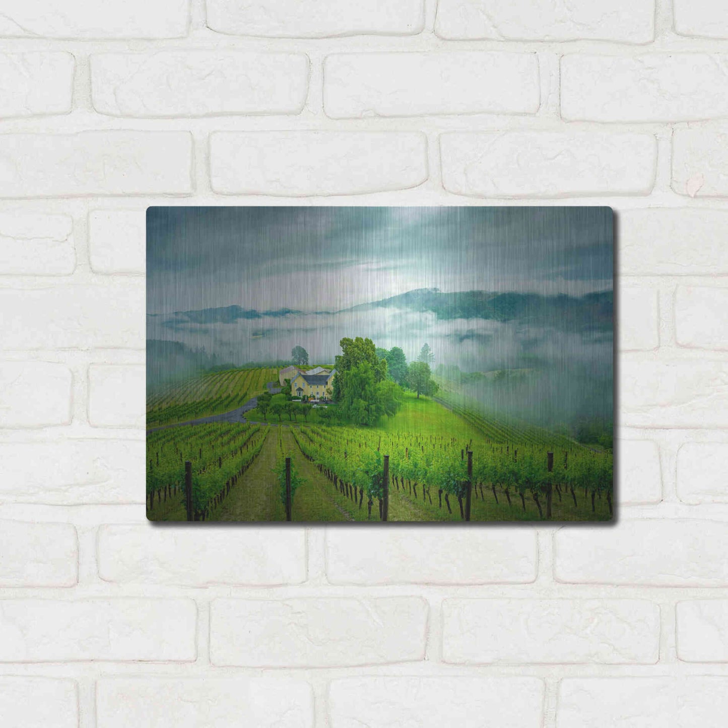 Luxe Metal Art  'Vineyard In The Mist'  by Don Schwartz, Metal Wall Art,16x12