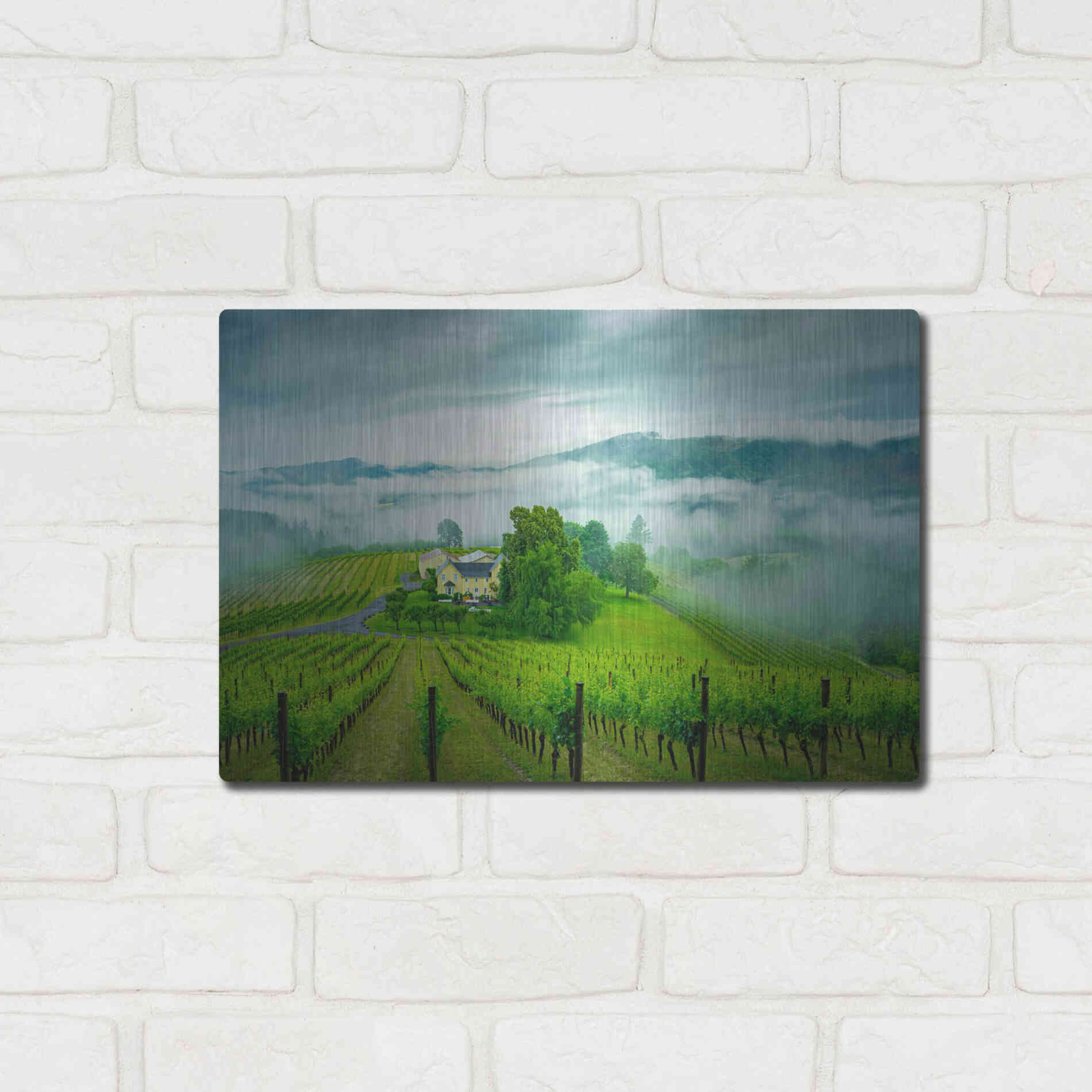 Luxe Metal Art  'Vineyard In The Mist'  by Don Schwartz, Metal Wall Art,16x12
