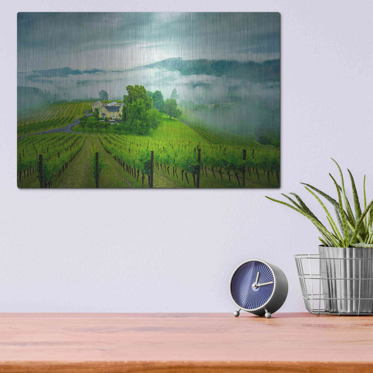 Luxe Metal Art  'Vineyard In The Mist'  by Don Schwartz, Metal Wall Art,16x12