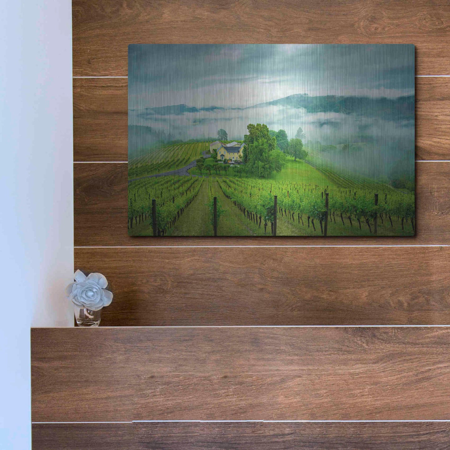 Luxe Metal Art  'Vineyard In The Mist'  by Don Schwartz, Metal Wall Art,16x12