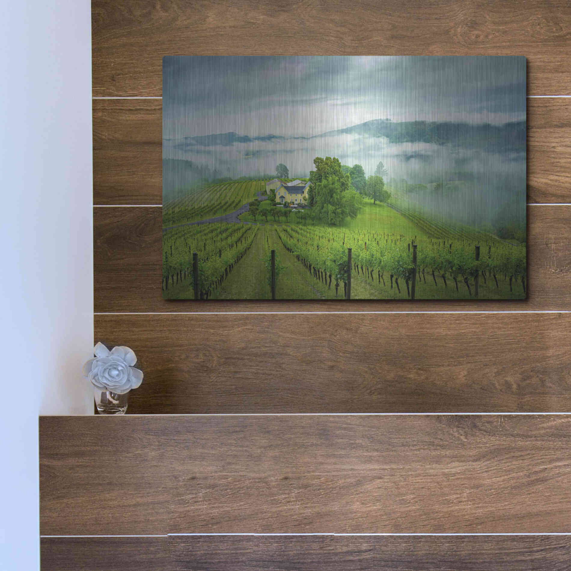 Luxe Metal Art  'Vineyard In The Mist'  by Don Schwartz, Metal Wall Art,16x12