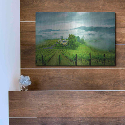 Luxe Metal Art  'Vineyard In The Mist'  by Don Schwartz, Metal Wall Art,16x12