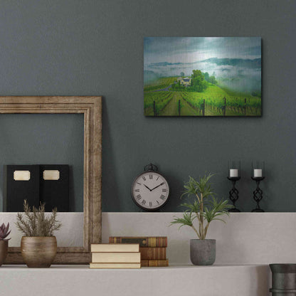 Luxe Metal Art  'Vineyard In The Mist'  by Don Schwartz, Metal Wall Art,16x12