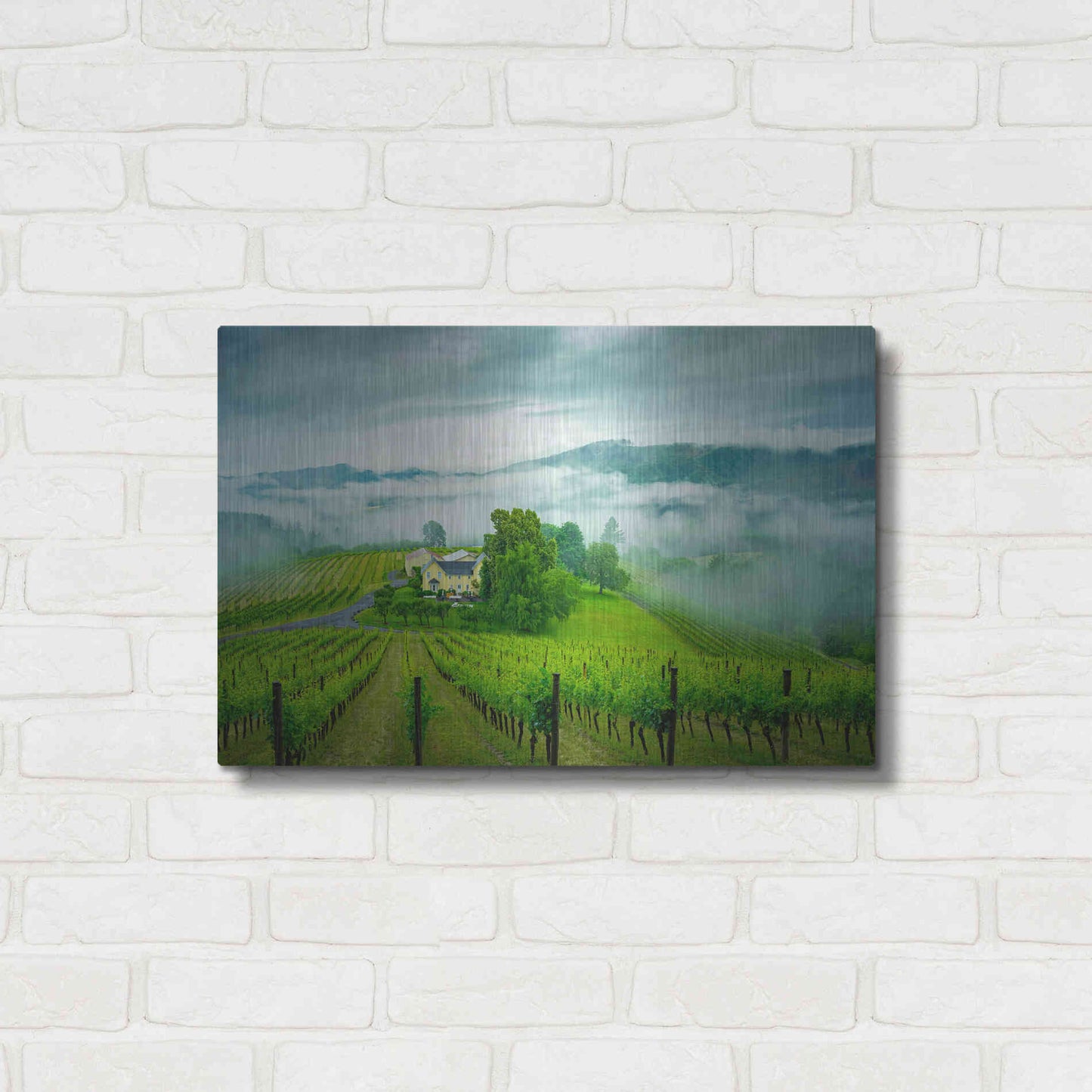 Luxe Metal Art  'Vineyard In The Mist'  by Don Schwartz, Metal Wall Art,24x16