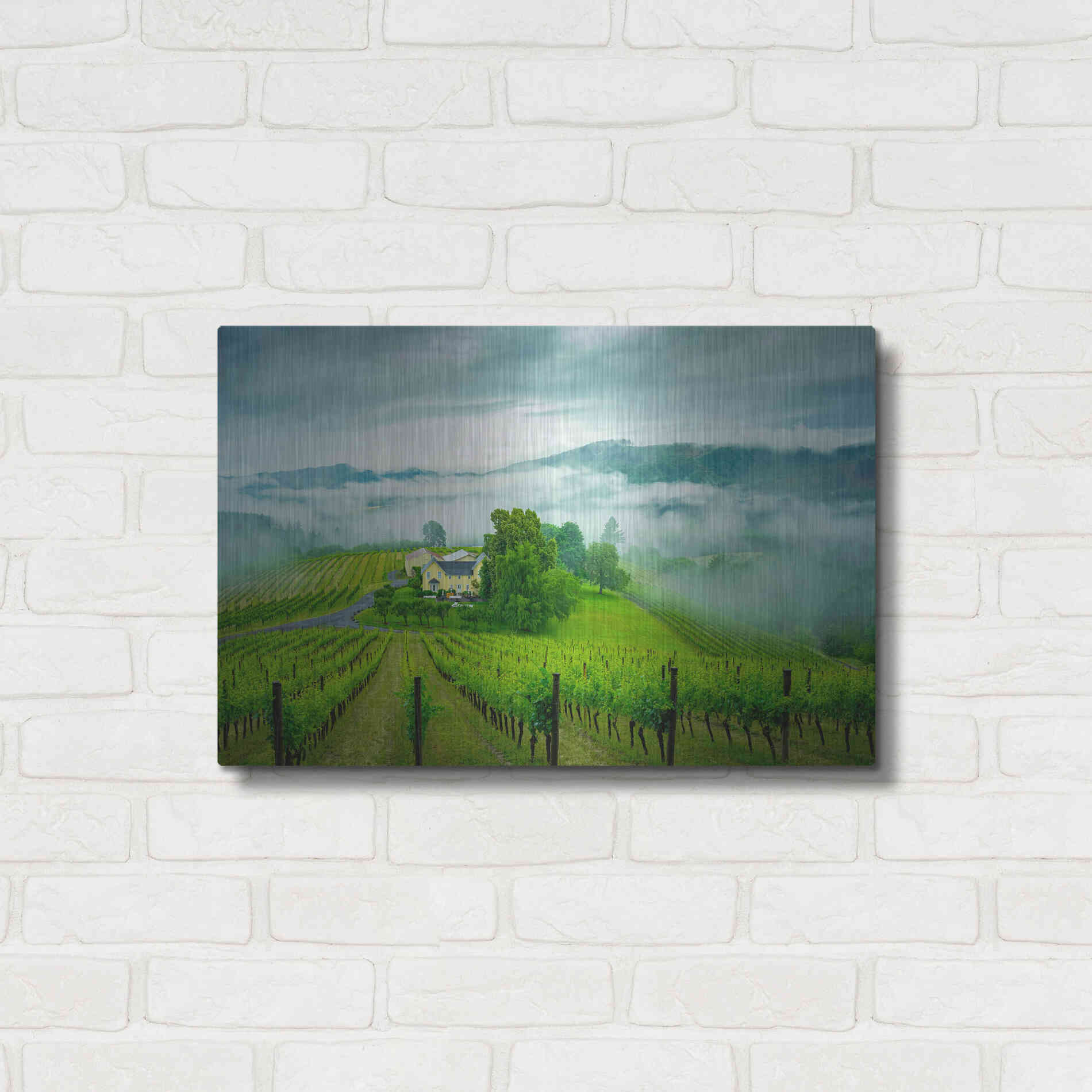 Luxe Metal Art  'Vineyard In The Mist'  by Don Schwartz, Metal Wall Art,24x16
