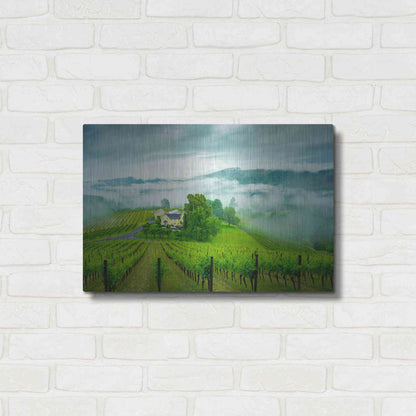 Luxe Metal Art  'Vineyard In The Mist'  by Don Schwartz, Metal Wall Art,24x16
