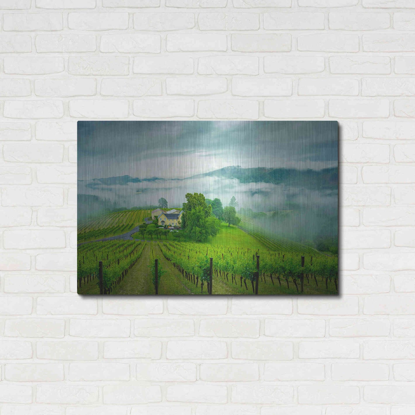 Luxe Metal Art  'Vineyard In The Mist'  by Don Schwartz, Metal Wall Art,36x24