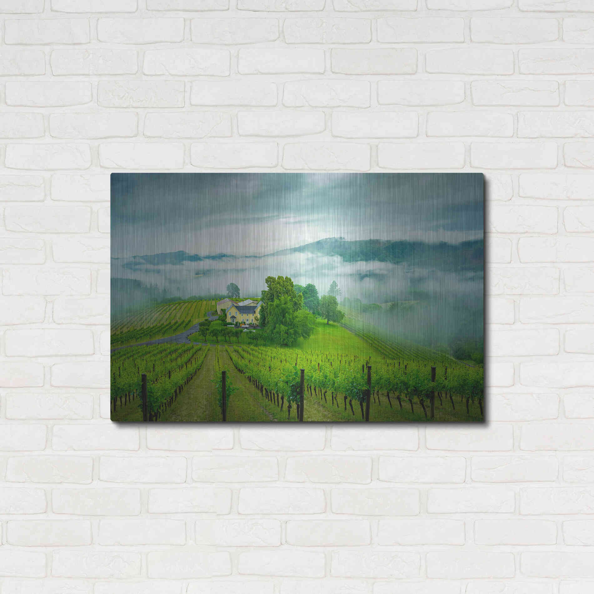 Luxe Metal Art  'Vineyard In The Mist'  by Don Schwartz, Metal Wall Art,36x24