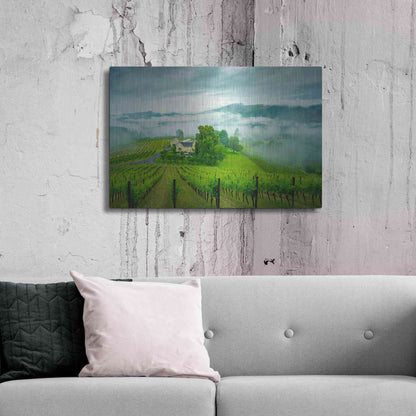 Luxe Metal Art  'Vineyard In The Mist'  by Don Schwartz, Metal Wall Art,36x24