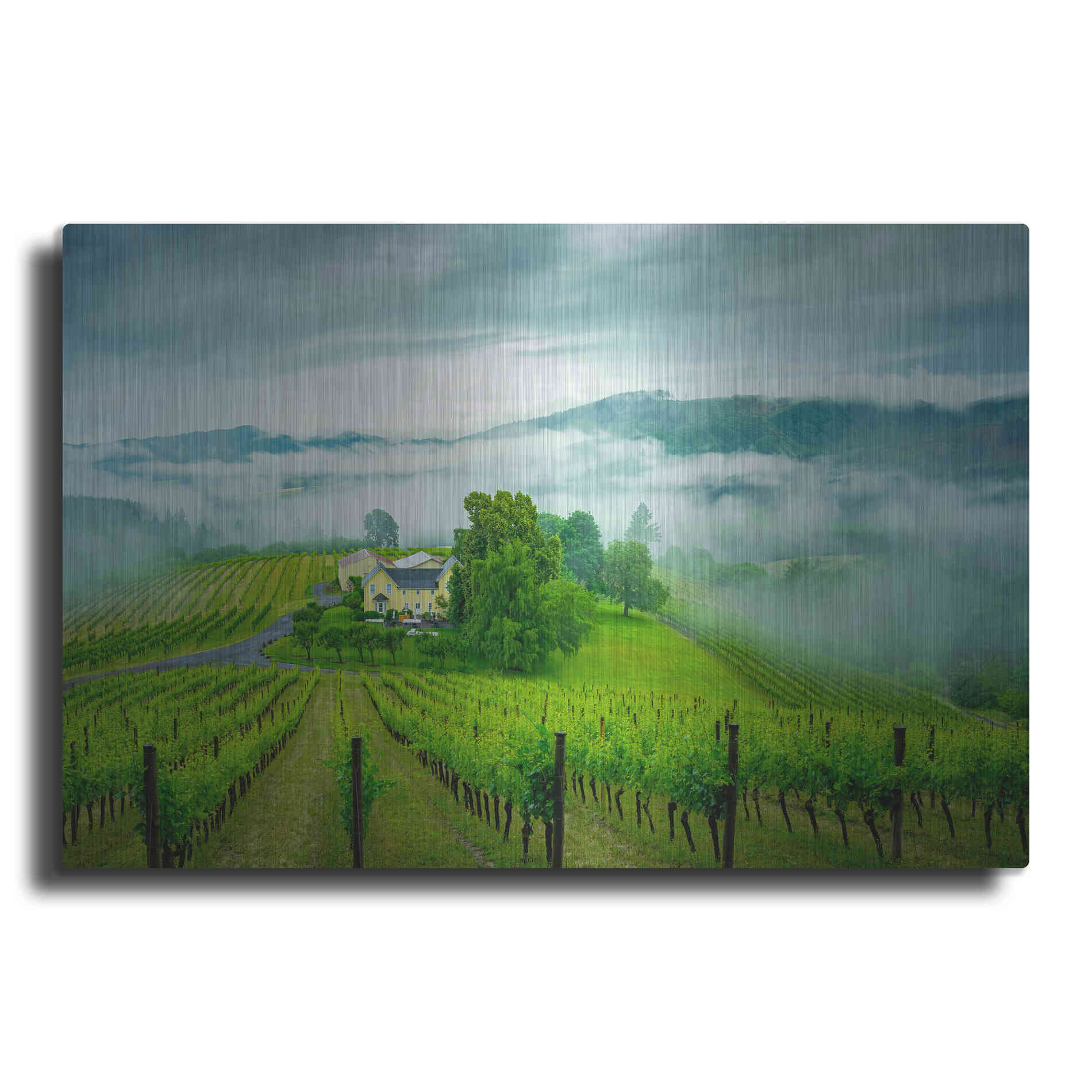 Luxe Metal Art  'Vineyard In The Mist'  by Don Schwartz, Metal Wall Art