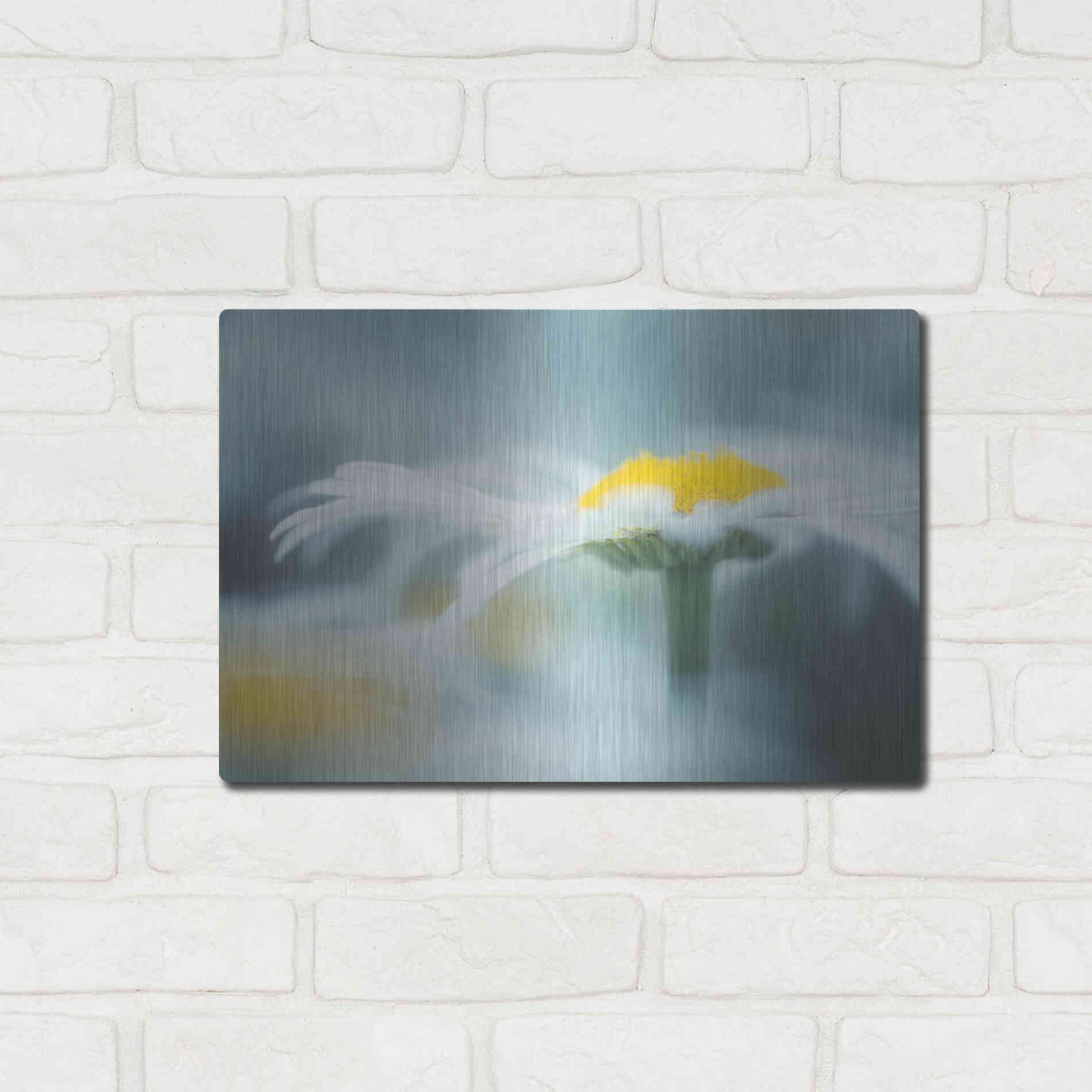 Luxe Metal Art  'Summer Morning'  by Don Schwartz, Metal Wall Art,16x12