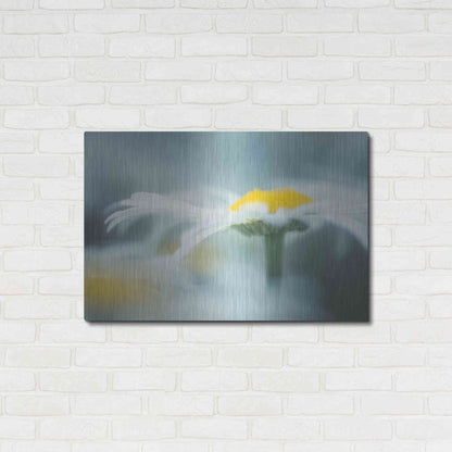 Luxe Metal Art  'Summer Morning'  by Don Schwartz, Metal Wall Art,36x24