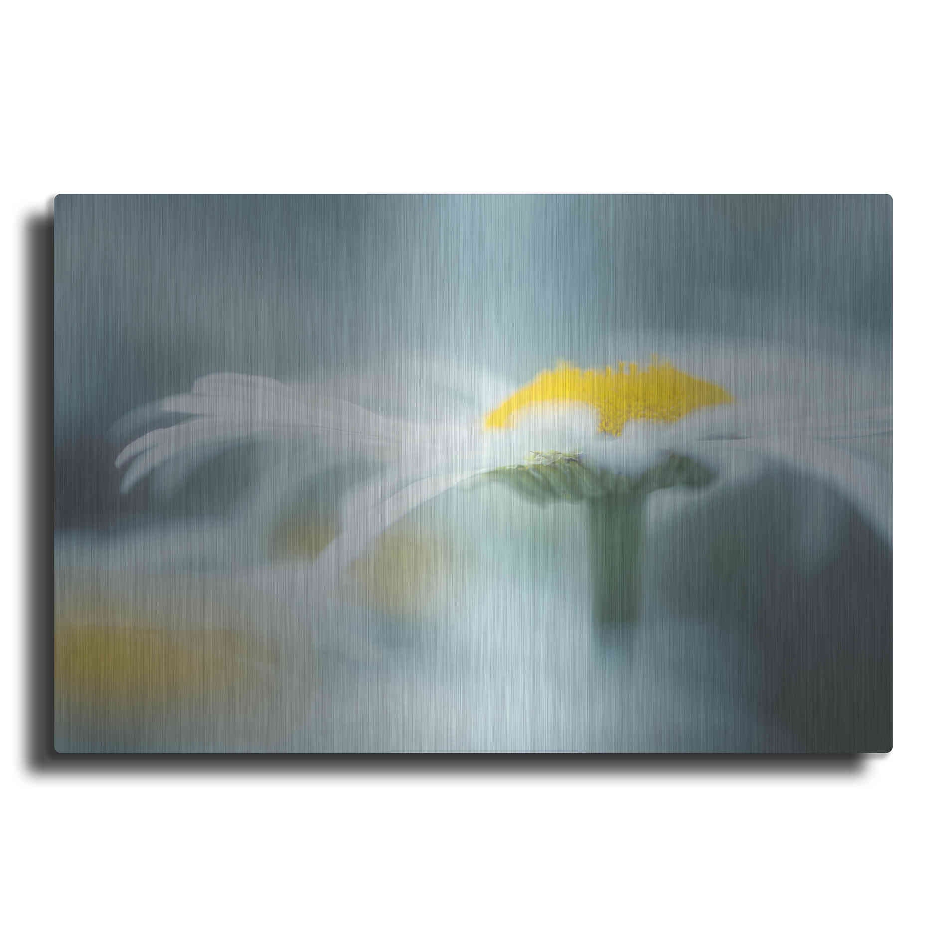 Luxe Metal Art  'Summer Morning'  by Don Schwartz, Metal Wall Art