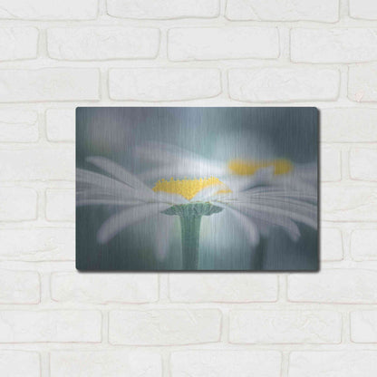 Luxe Metal Art  'Two Daisies'  by Don Schwartz, Metal Wall Art,16x12