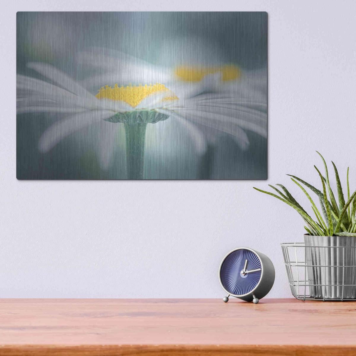 Luxe Metal Art  'Two Daisies'  by Don Schwartz, Metal Wall Art,16x12
