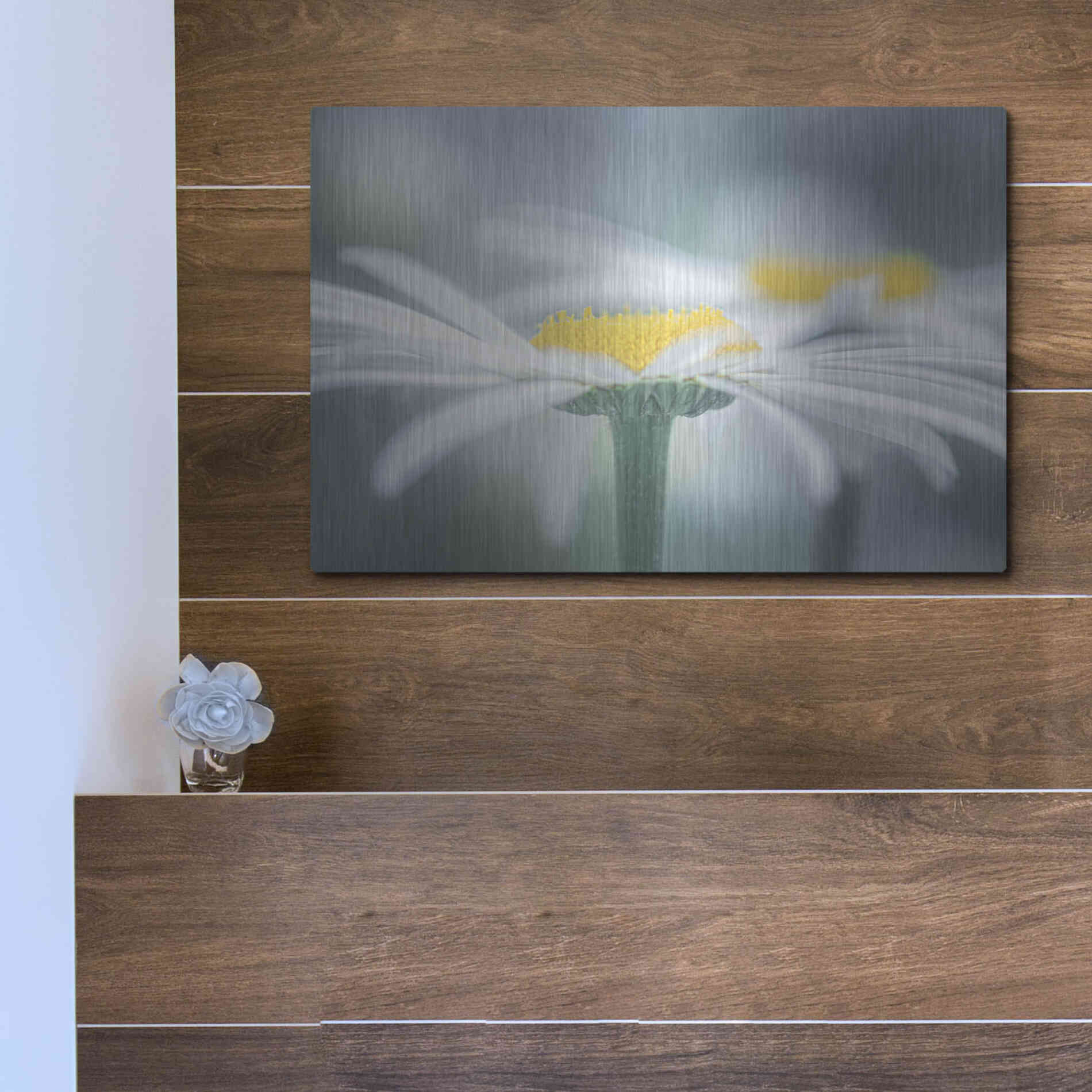 Luxe Metal Art  'Two Daisies'  by Don Schwartz, Metal Wall Art,16x12