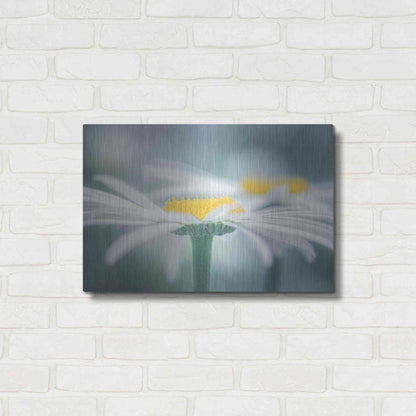 Luxe Metal Art  'Two Daisies'  by Don Schwartz, Metal Wall Art,24x16