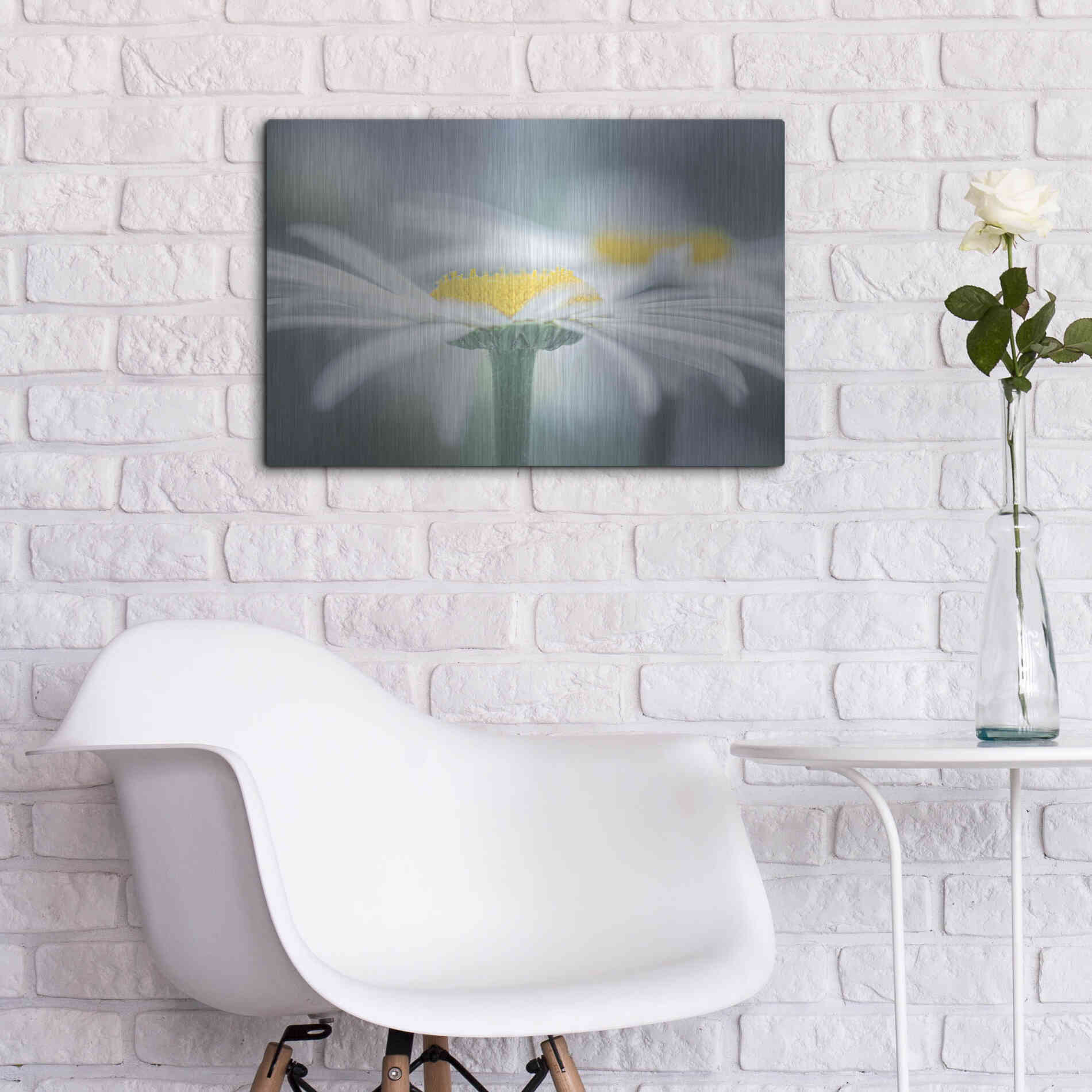 Luxe Metal Art  'Two Daisies'  by Don Schwartz, Metal Wall Art,24x16