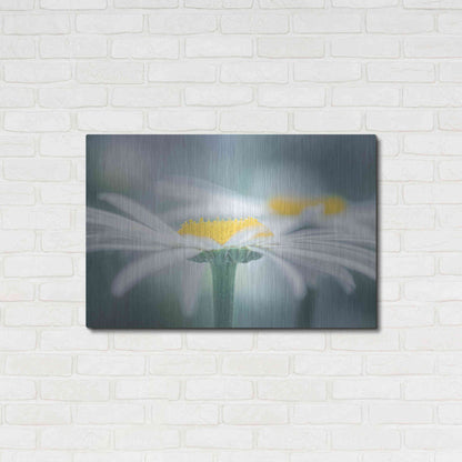 Luxe Metal Art  'Two Daisies'  by Don Schwartz, Metal Wall Art,36x24