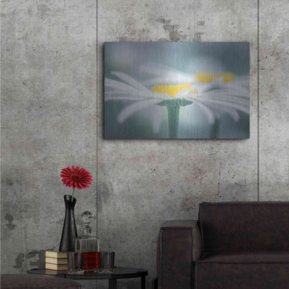 Luxe Metal Art  'Two Daisies'  by Don Schwartz, Metal Wall Art,36x24