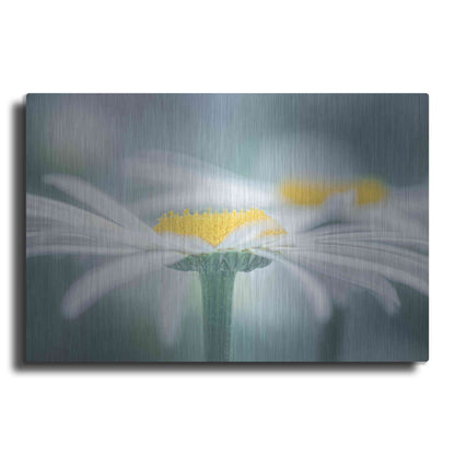 Luxe Metal Art  'Two Daisies'  by Don Schwartz, Metal Wall Art